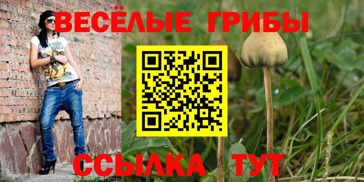 Мурино  Псилоцибиновые грибы Psilocybe  Вход с VPN 